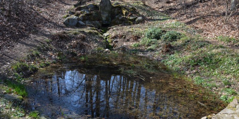 Bergquelle "Schöpfe schweigend"