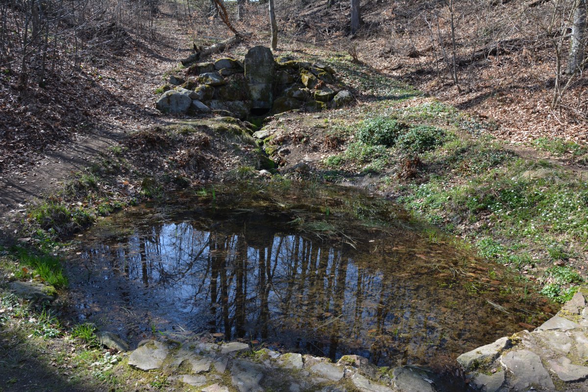 Bergquelle "Schöpfe schweigend"