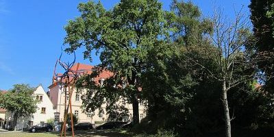 Bismarckeiche