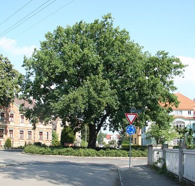 Bismarckplatz