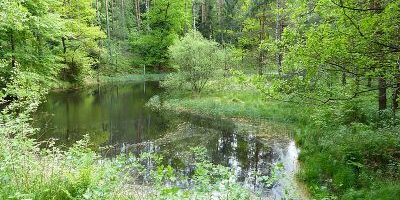 Böses Loch