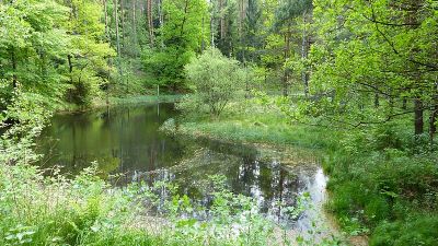 Böses Loch