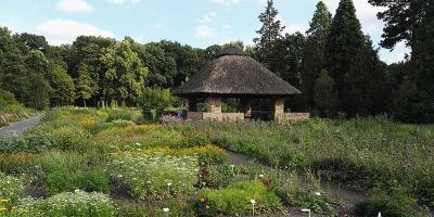 Botanischer Garten