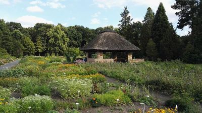 Botanischer Garten