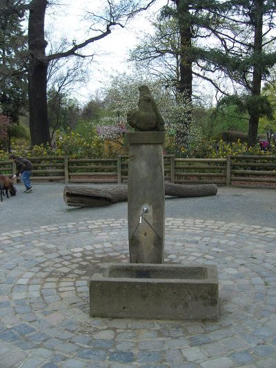 Brunnen