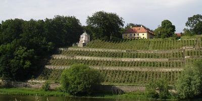 Dinglingers Weinberg