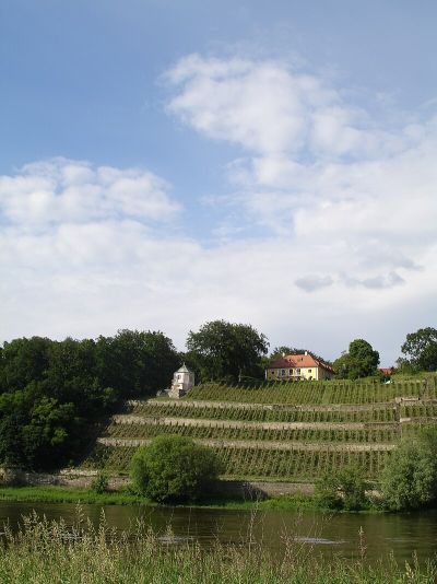 Dinglingers Weinberg