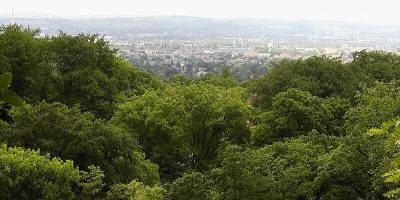 Natural Landmarks of Dresden — Discovery 3