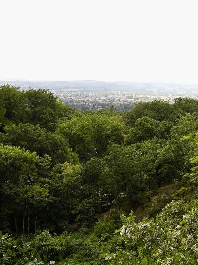 Dresdner Heide