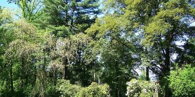 Fichtepark
