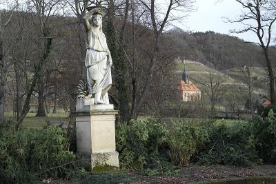 Flora
