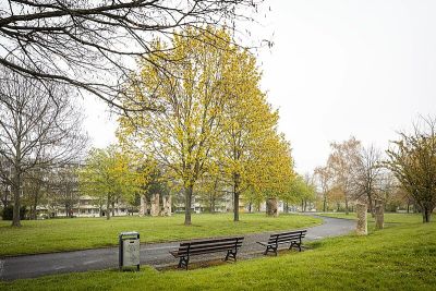 Gorbitzer Park