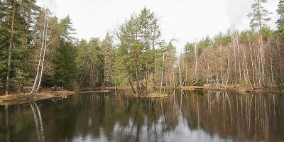 Haarweidenstausee