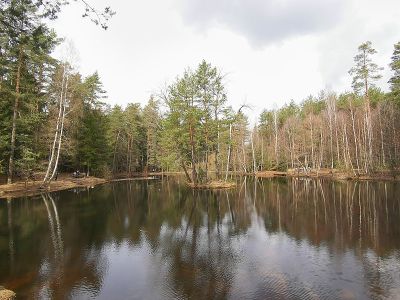 Haarweidenstausee
