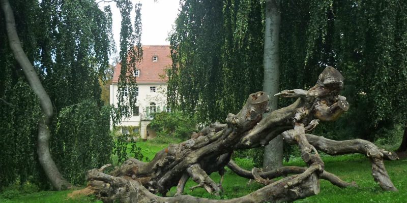 Helfenberger Park