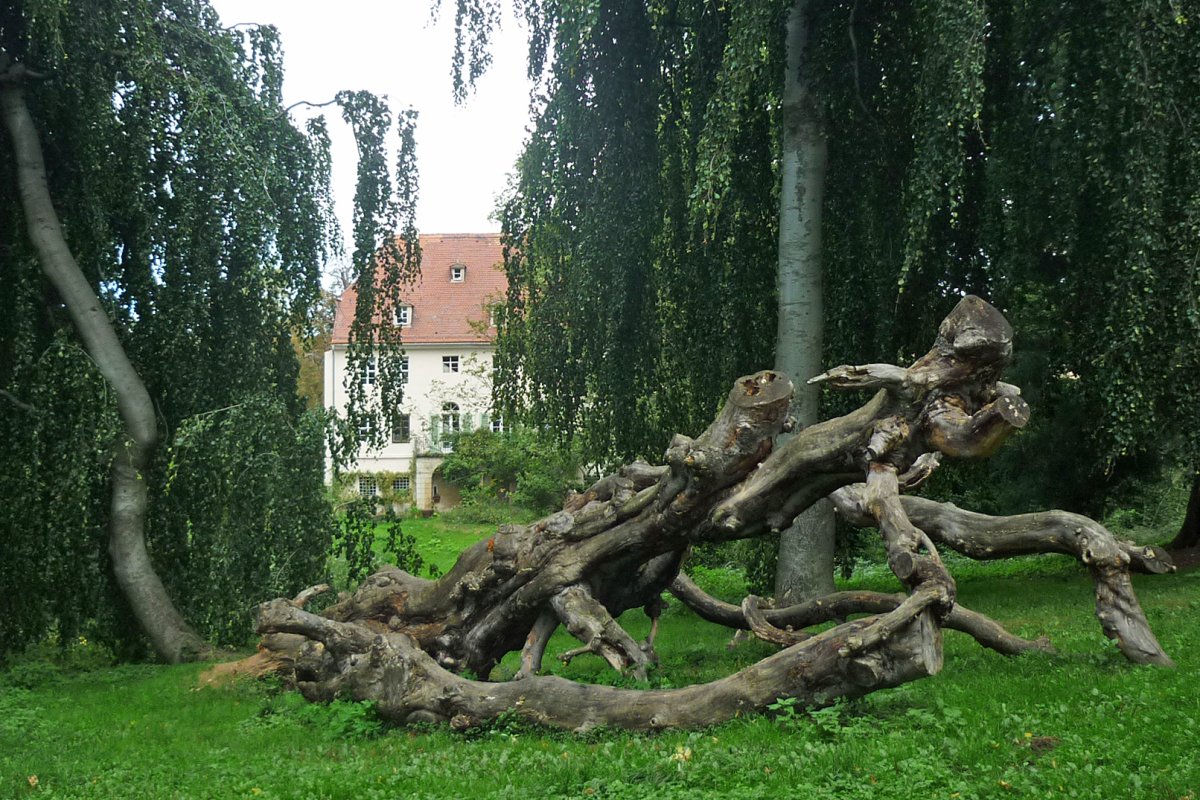 Helfenberger Park