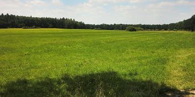 Hofewiese