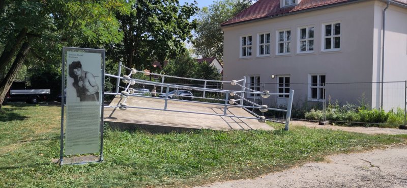 Kulturgarten (ehem. Golgi Park)