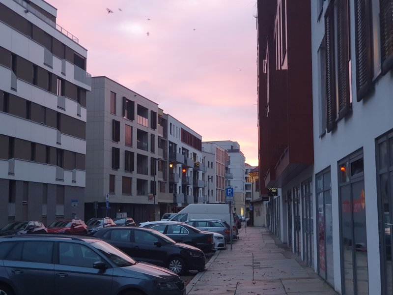 Kunst Raum Dresden