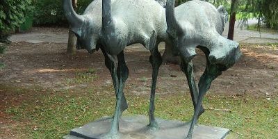 Laufvogelgruppe