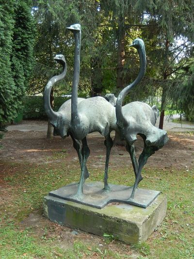 Laufvogelgruppe