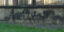 Leben an der Elbe