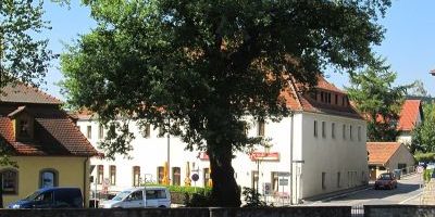 Luther-Eiche