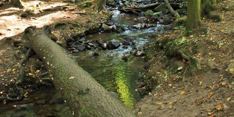 NaturKulturBad Zschonergrund