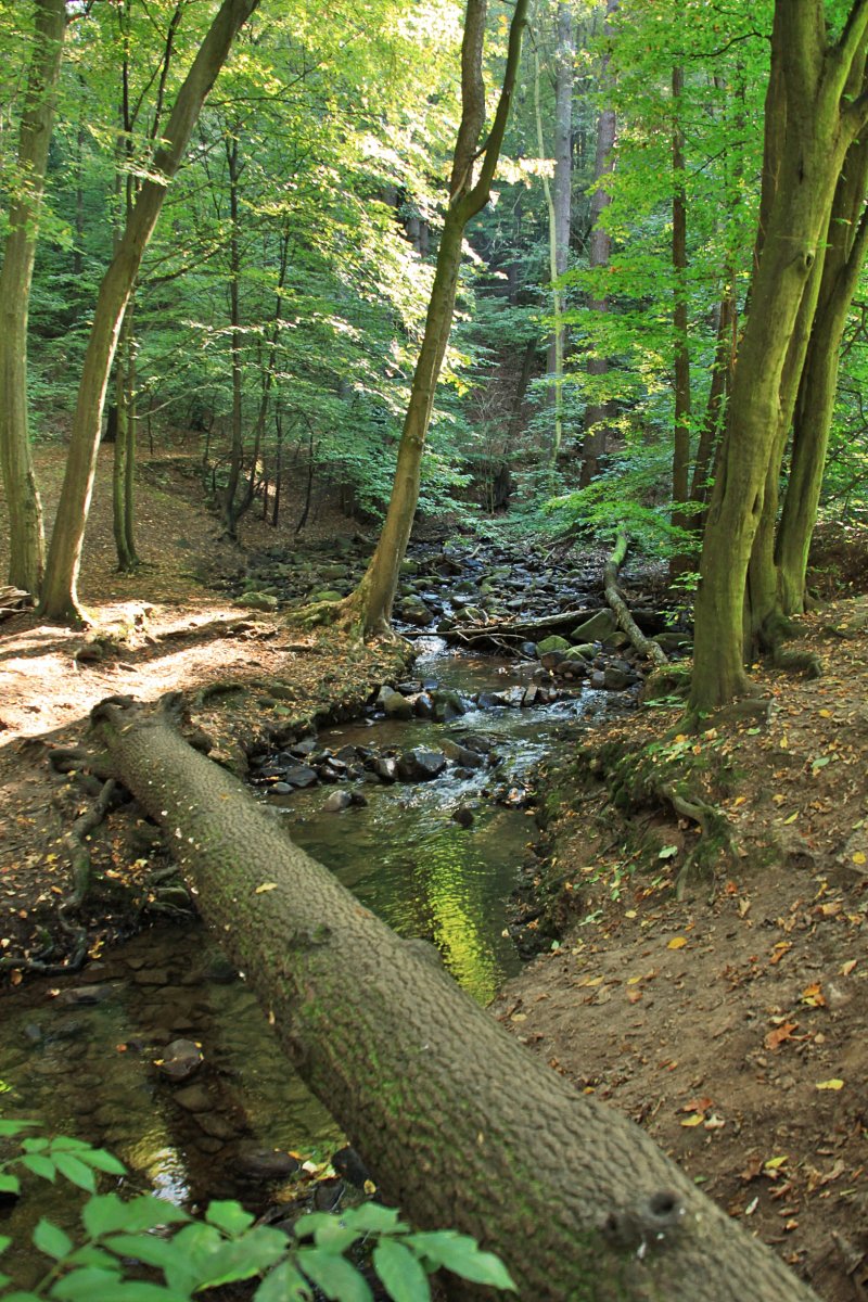 NaturKulturBad Zschonergrund