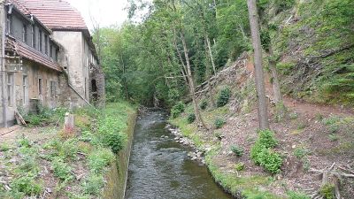Niedermühle
