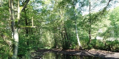 Olterteich
