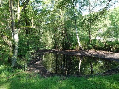 Olterteich
