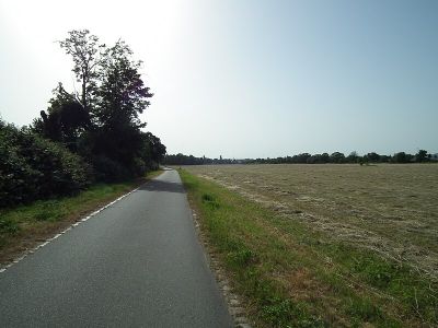 Ostra Flutrinne