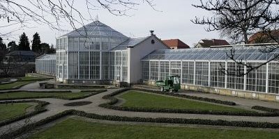 Palmenhaus