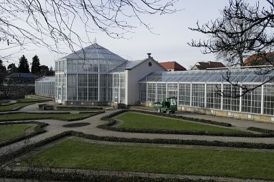 Palmenhaus