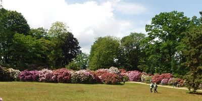 Rhododendronpark