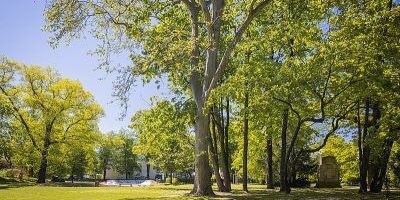 Rothermundtpark