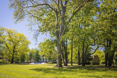 Rothermundtpark