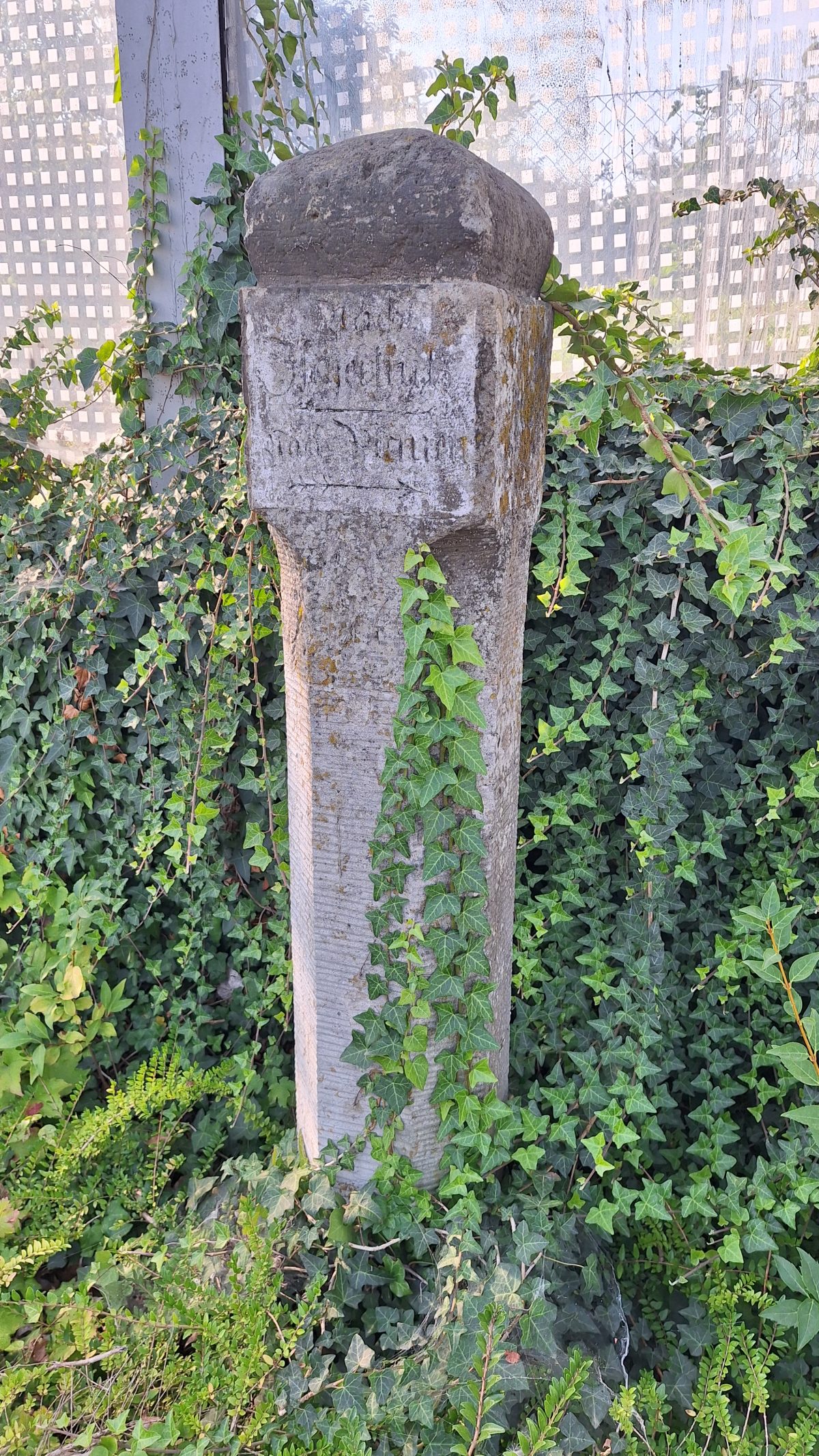 Schlacht bei Dresden 1813 (Süd 1)