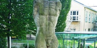 Torso
