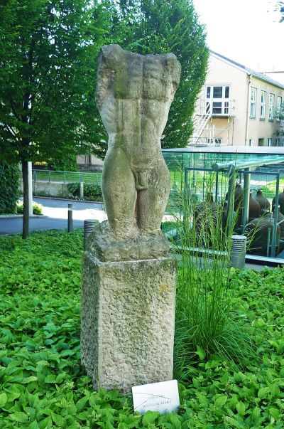 Torso