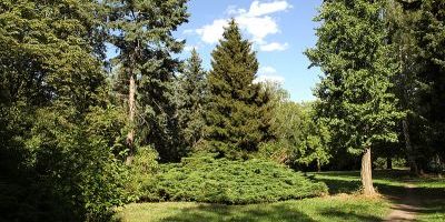 Volkspark Räcknitz