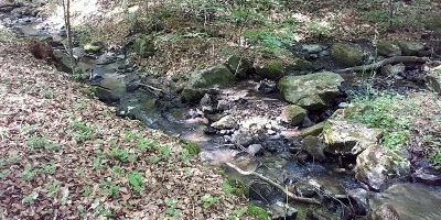 Wachwitzbach