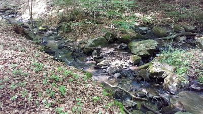 Wachwitzbach