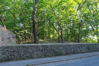 Waldbestand Neuländer Straße