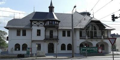Weißer Adler