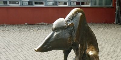 Wildschwein