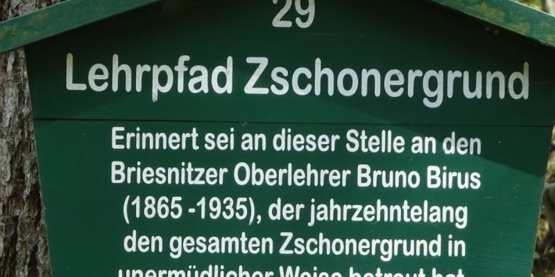 Zschonergrund