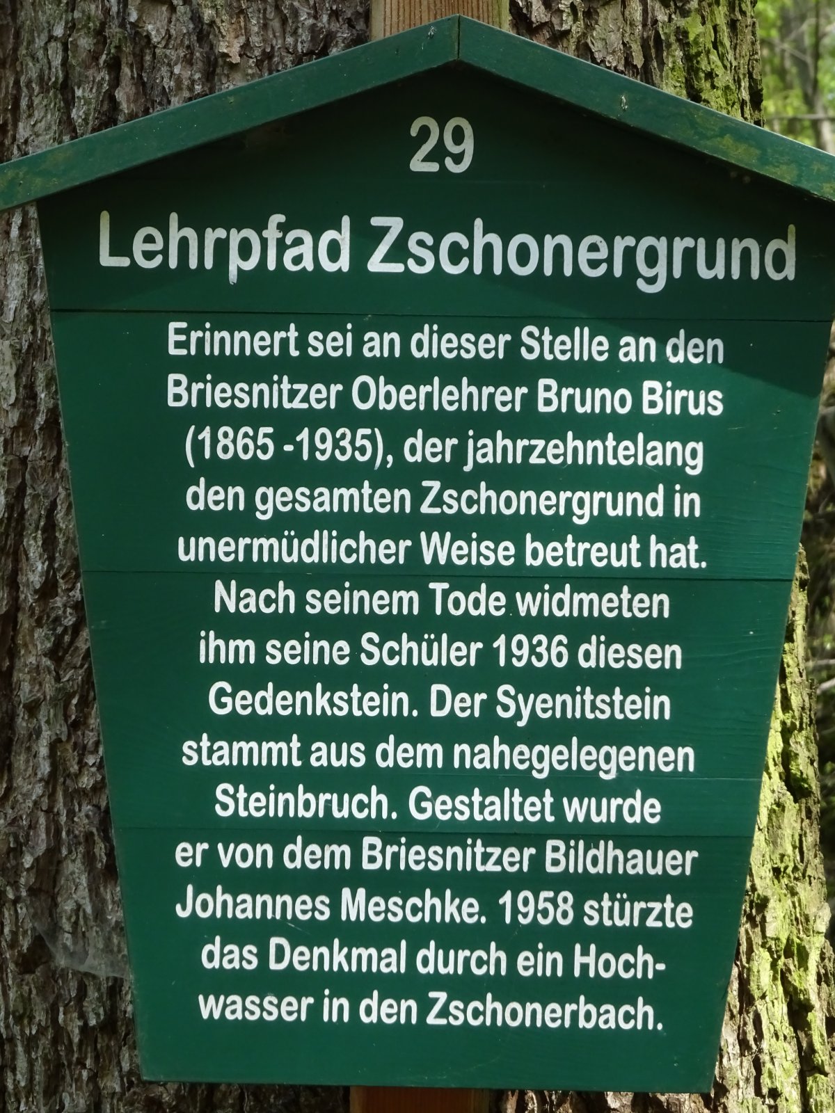 Zschonergrund