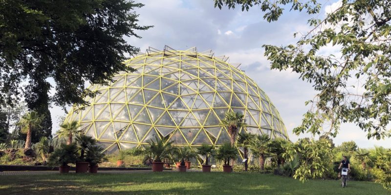 Botanischer Garten